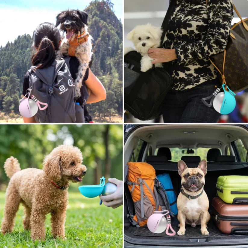 Peak Portable Dog Water Bottle